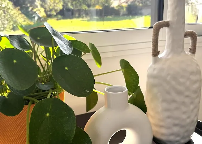 La Grange, Vendee, Holiday home *